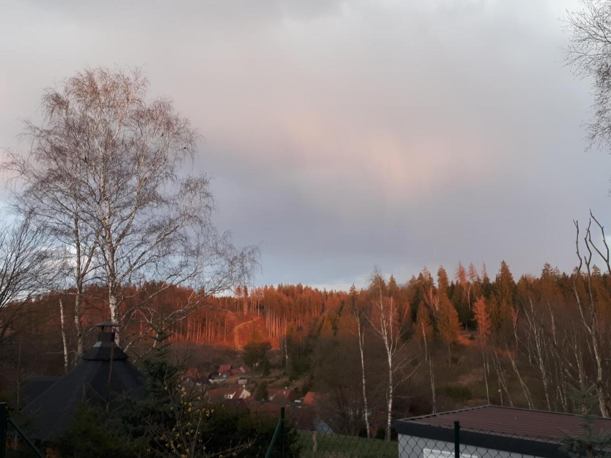 Behagliches Ferienhaus Zaunkoenig -Mit Kamin Und Sauna Tanne Buitenkant foto