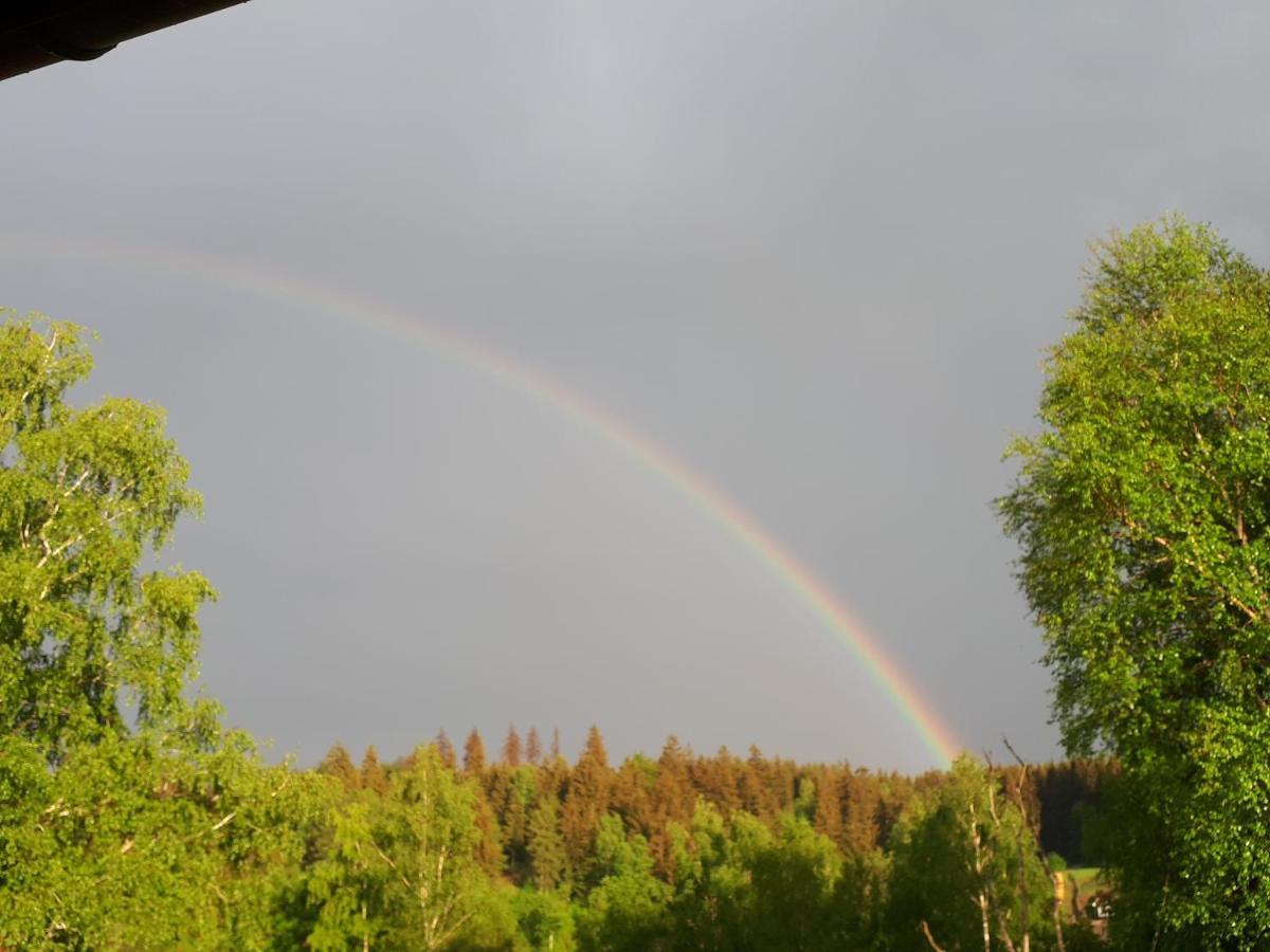 Behagliches Ferienhaus Zaunkoenig -Mit Kamin Und Sauna Tanne Buitenkant foto