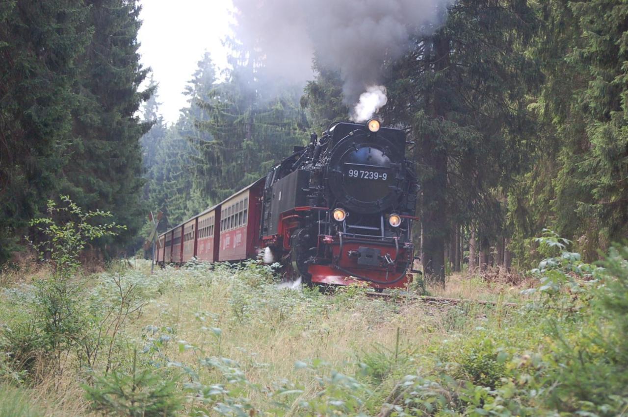 Behagliches Ferienhaus Zaunkoenig -Mit Kamin Und Sauna Tanne Buitenkant foto