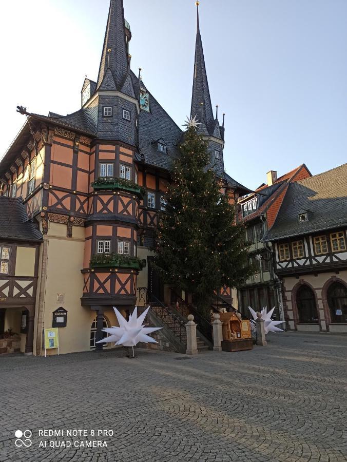 Behagliches Ferienhaus Zaunkoenig -Mit Kamin Und Sauna Tanne Buitenkant foto