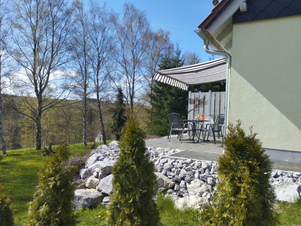 Behagliches Ferienhaus Zaunkoenig -Mit Kamin Und Sauna Tanne Buitenkant foto